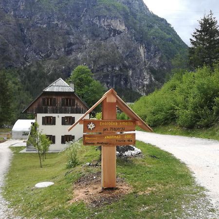 Appartamento Organic Tourist Farm Pri Plajerju Trenta Esterno foto