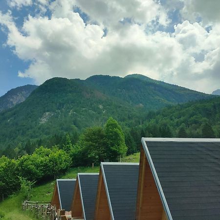 Appartamento Organic Tourist Farm Pri Plajerju Trenta Esterno foto