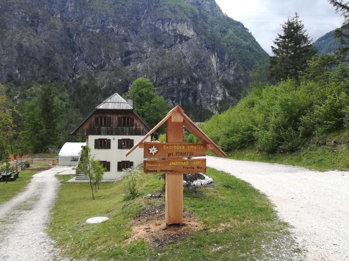 Appartamento Organic Tourist Farm Pri Plajerju Trenta Esterno foto