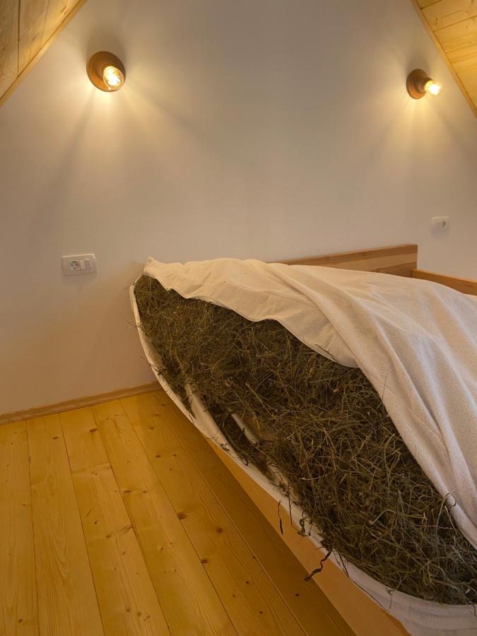 Appartamento Organic Tourist Farm Pri Plajerju Trenta Esterno foto