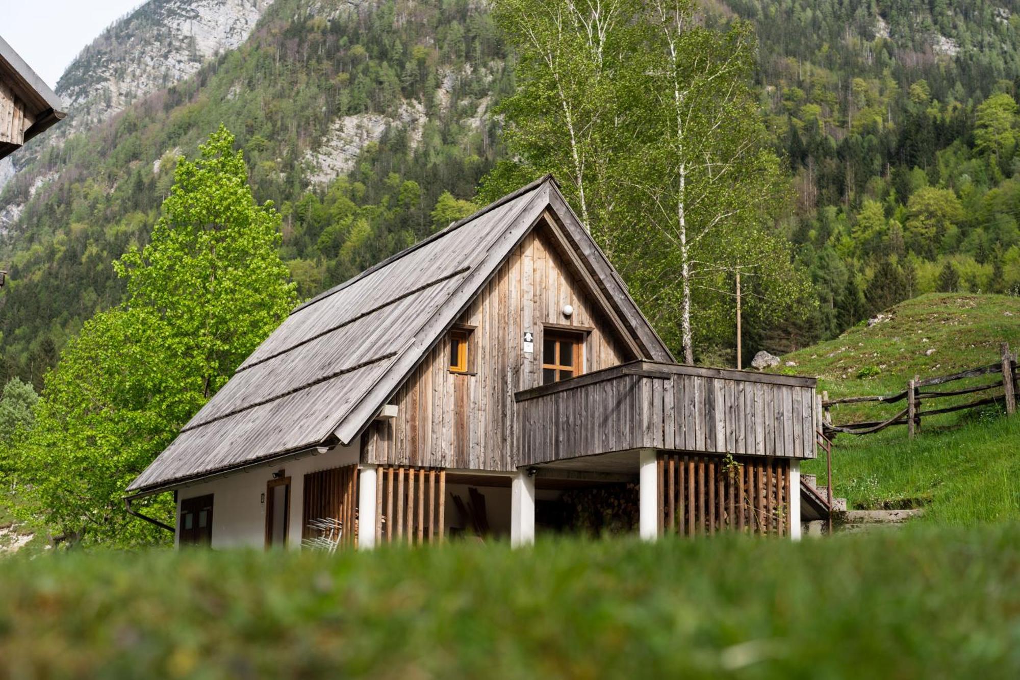 Appartamento Organic Tourist Farm Pri Plajerju Trenta Esterno foto